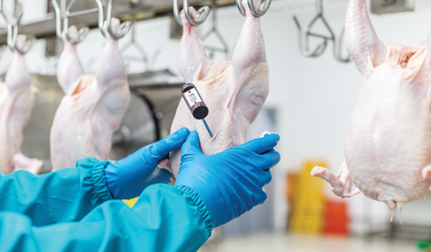 Ticaret Bakanlığı’ndan Fiyat Hamlesi: Kanatlı Eti İhracatı Durduruldu