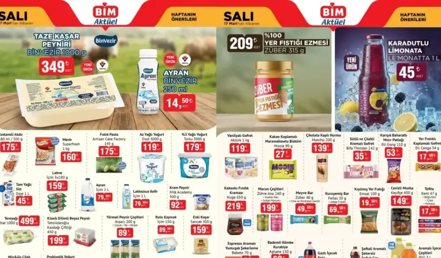 BİM 17-20 MART AKTÜEL ÜRÜNLER KATALOĞU: Onvo Halı ve Koltuk Yıkama Makinesi, Arnica Şarjlı Dikey Süpürge, Stanley Termos