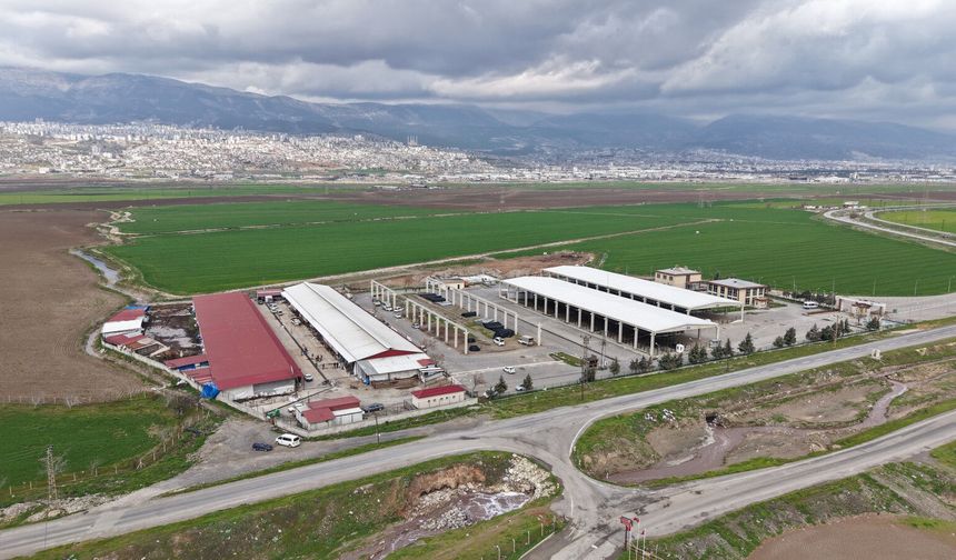Kahramanmaraş'a 50 Milyonluk Yatırımla Modern Kesimhane Kazandırılıyor