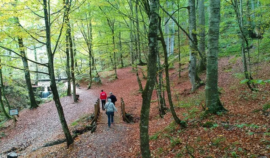 Doğa Koruma İçin Yeni Dönem: Milli Parklar Kanunu Meclis’ten Geçti