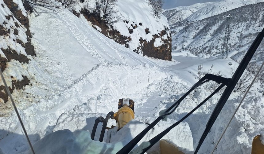Şırnak-Hakkari kara yoluna çığ düştü