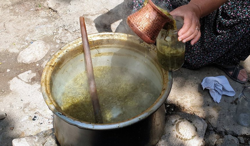 Kahramanmaraş'ta Tirşik Festivali: Altın Ödüllü Yarışma Başlıyor!