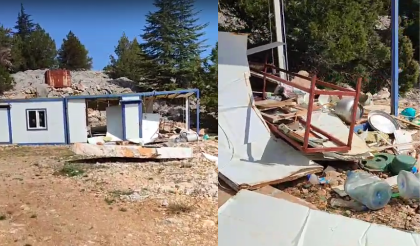 Kahramanmaraş'ta Ayı Saldırısı: Şantiye Kullanılamaz Hale Geldi!