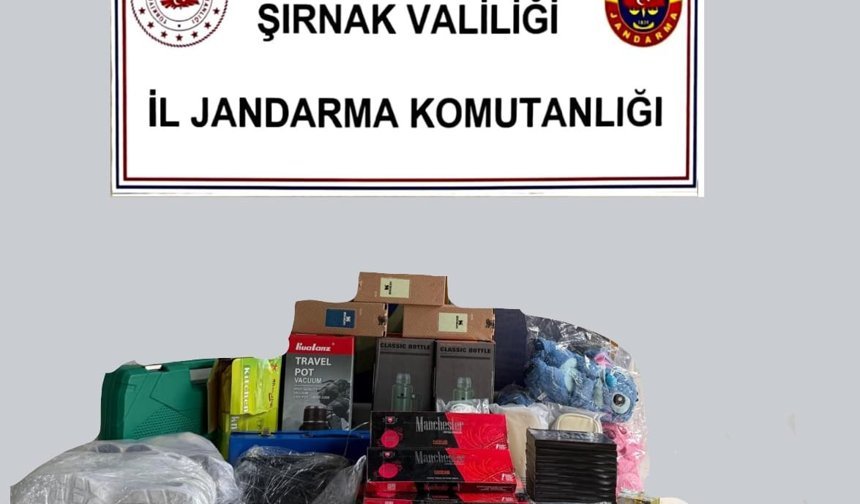 Şırnak'ta kaçakçılık ve asayiş operasyonlarında 1 kişi tutuklandı