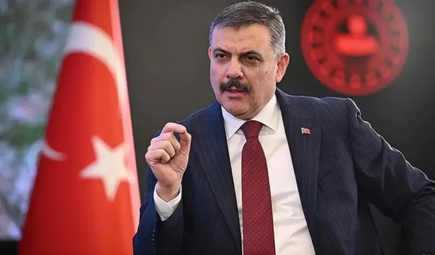 Bakan Çiftçi Tarih Verdi! Sahipsiz Sokak Hayvanları İçin Yeni Yol Haritası