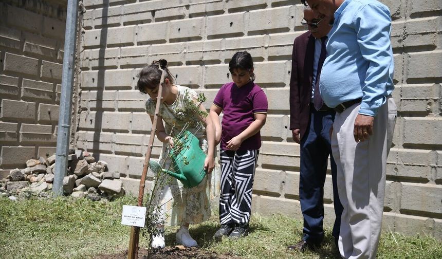 Kahramanmaraş’ta Yitirilen Canların Anısına Zeytin Fidanları Toprakla Buluştu