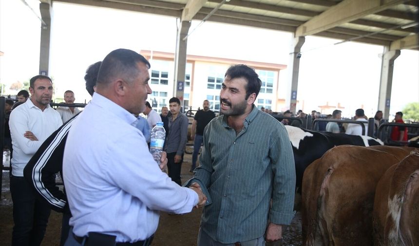 Kahramanmaraş’ta Kurban Pazarı Hareketliliği Sürüyor