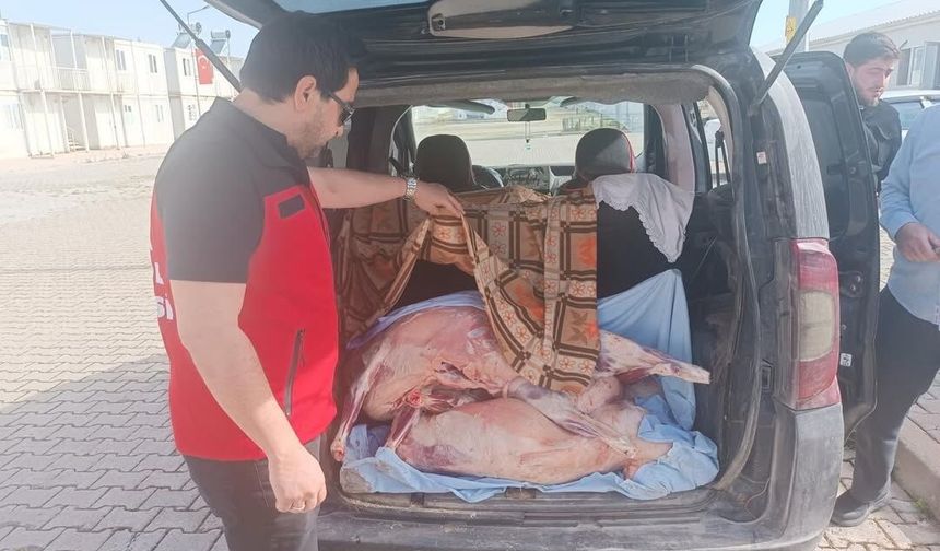 Kahramanmaraş’ta Sağlığı Tehdit Eden Etlere Geçit Yok! Mevzuata Aykırı Karkas Etler İmha Edildi