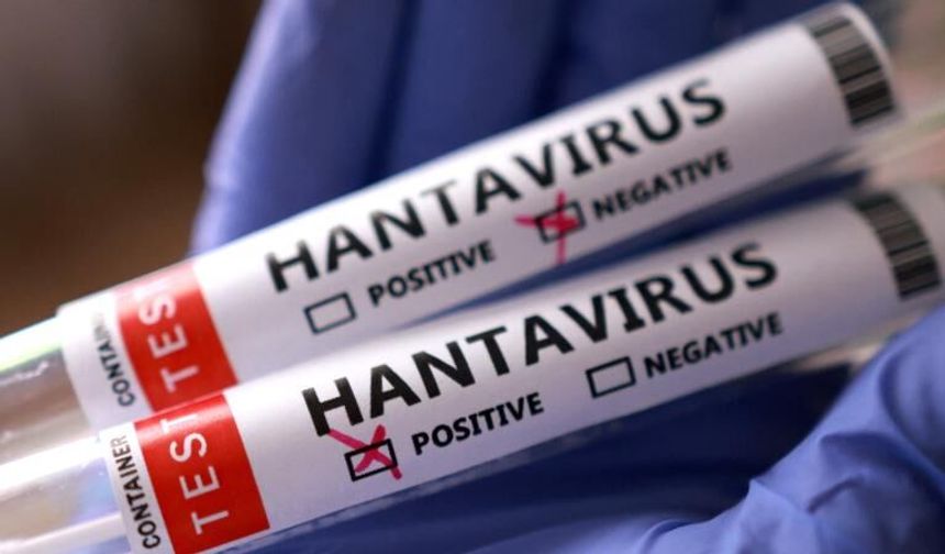 İngiltere: Bir İngiliz vatandaşında daha hantavirüs şüphesi tespit edildi