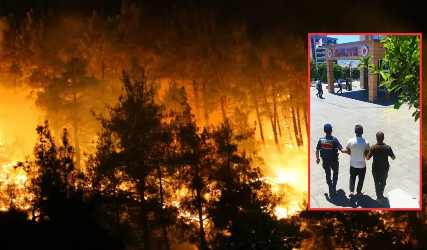 Torpil şakası ormanı yaktı: 43 milyon TL ceza