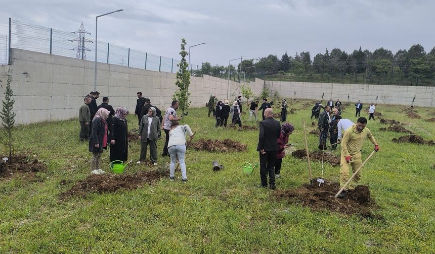 Türk Sağlık-Sen’den Anlamlı Vefa Etkinliği: Şehitler Anısına Fidan Dikildi