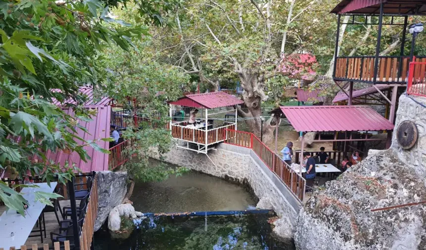 Doğayla İç İçe Gastronomi Noktası: Tekir Alabalık Tesisleri