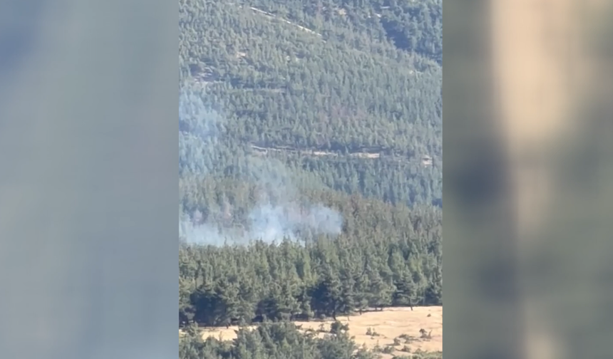 Nurdağı'ndaki Orman Yangınına Kahramanmaraş OGM Ekipleri Yetişti