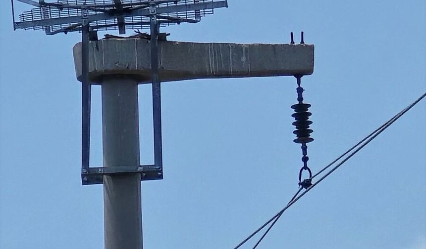 Şırnak'ta leyleklerin akıma kapılmaması için direklere 13 özel platform kuruldu
