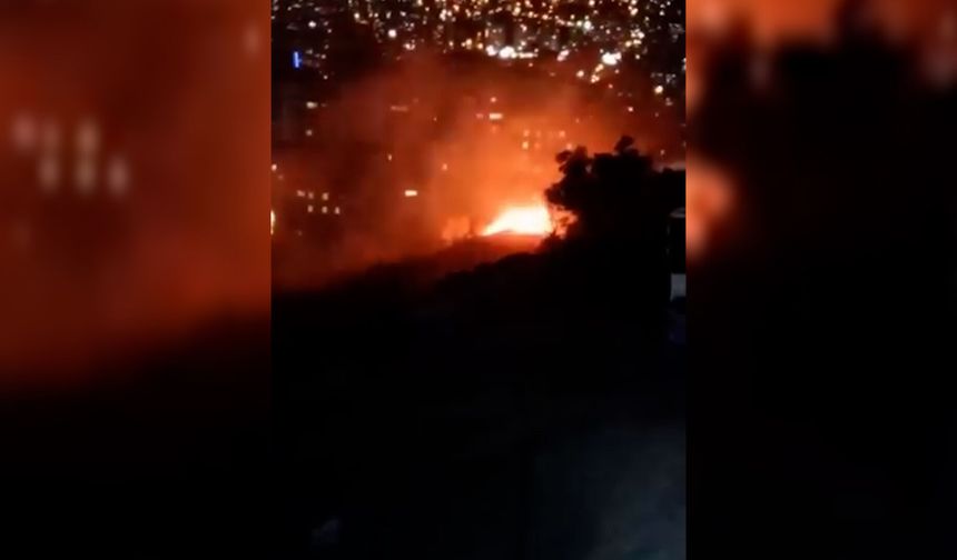 Boğaziçi Mahallesi'nde ağaçlık alan alevlere teslim oldu