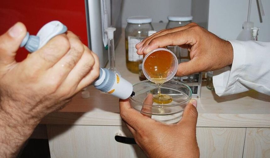 Tarım ve Orman Bakanlığı Yeni Listeyi Yayımladı! İşte Sofradaki Hileli 28 Ürün ve Marka
