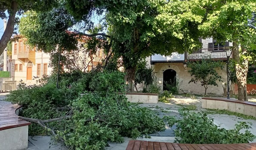 Mersin'de Kuvvetli Rüzgar Ortalığı Savaş Alanına Çevirdi! Ağaçlar Devrildi, Araçlar Hasar Gördü