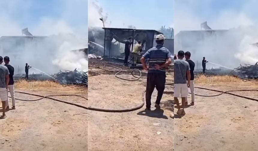 Kahramanmaraş’ta Anız Yangını Barakayı Kül Etti