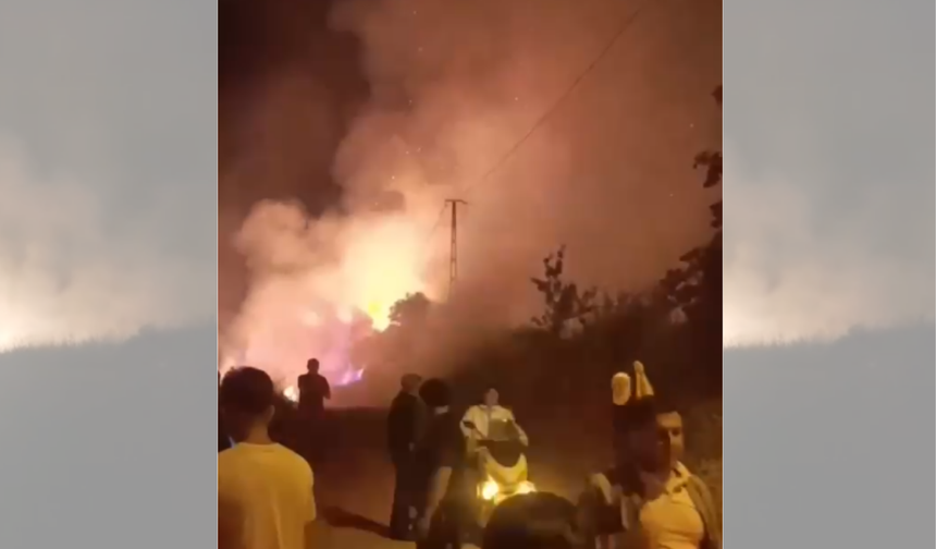 Göksun'da Yayla Yolundaki Yangın Mahalleyi Korkuttu
