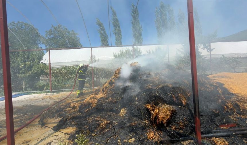 Kaş'ta çıkan orman yangını kontrol altına alındı