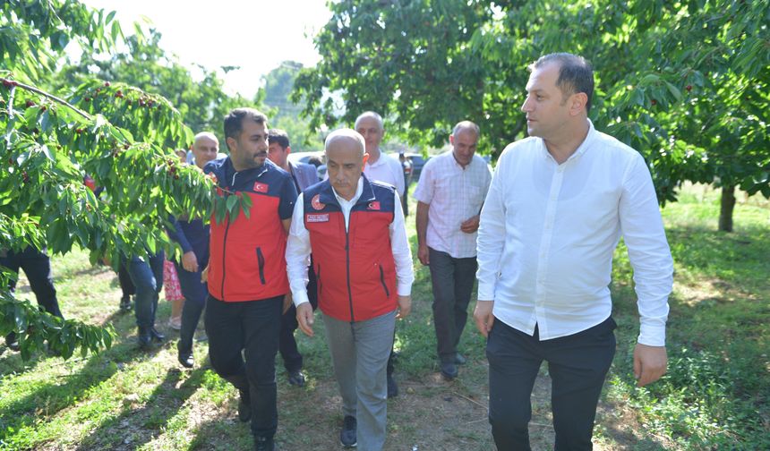 Andırın'da Kiraz Hasadına Protokol Ziyareti