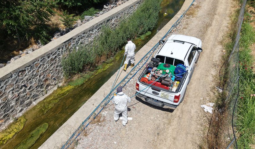 Kahramanmaraş’ta Sivrisinek ve Haşere Alarmına Karşı Büyük Seferberlik!