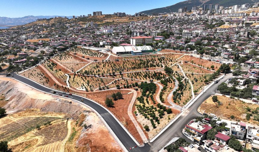 Türkiye’de Bir İlk! Kahramanmaraş’ta 40 Milyon TL’lik Karbon Yutak Alanı Tamamlandı