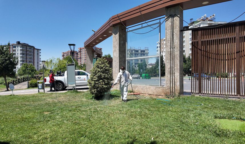 Kahramanmaraş'ta Park ve Mesire Alanlarında Kene Seferberliği Başladı: 130 Personel Sahada