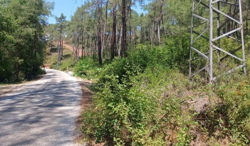 Ormanlarımız İçin Dev Kalkan! OGM Açıkladı: 16 Bin 500 Kilometrelik Alanda Kırmızı Alarm Tedbiri