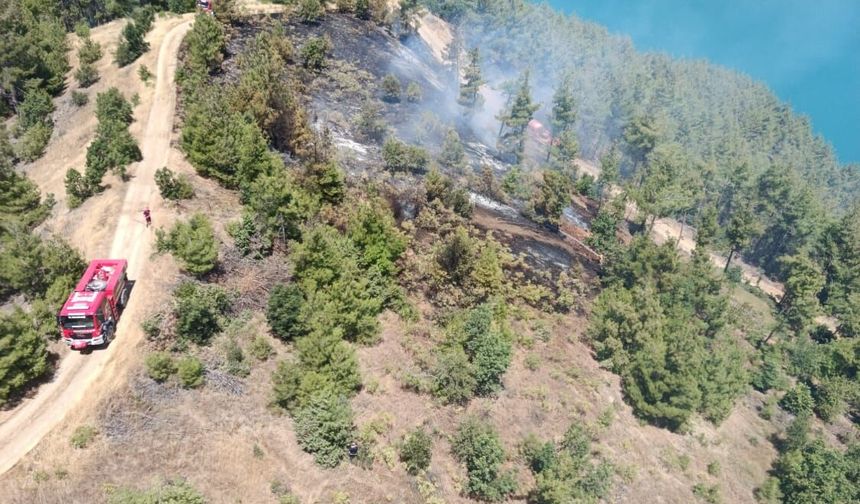 Kahramanmaraş'ta Orman Yangını: 1 Saat 10 Dakikada Kontrol Altına Alındı!