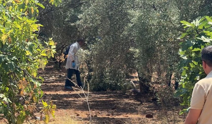 Antalya'da Kan Donduran Olay: Bir Genç Zeytinlik Alanda Elleri Bağlı Halde Ölü Bulundu!