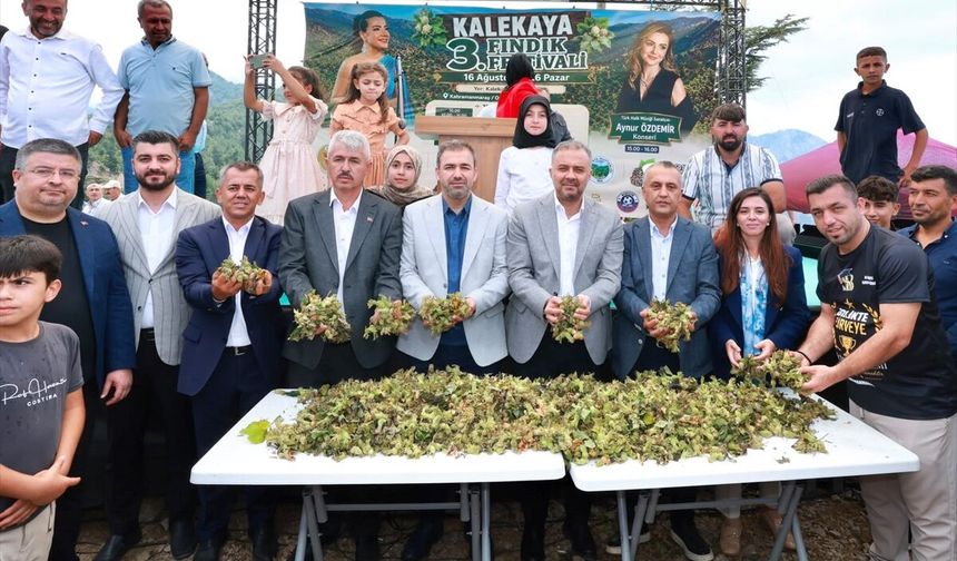 Kahramanmaraş’ın Karadeniz'i "Kalekaya"da Renkli Fındık Hasadı Festivali!