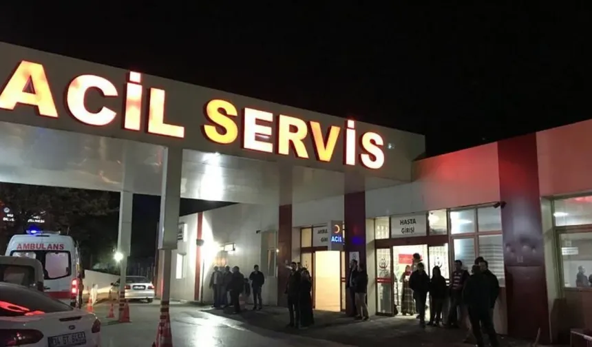 İslahiye'de hayvan otlatma kavgasında 2 kişi yaralandı