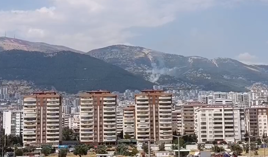 Ahır Dağında yangın!