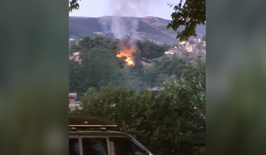 Kahramanmaraş’ta Ormanlık Alanda Yangın Paniği
