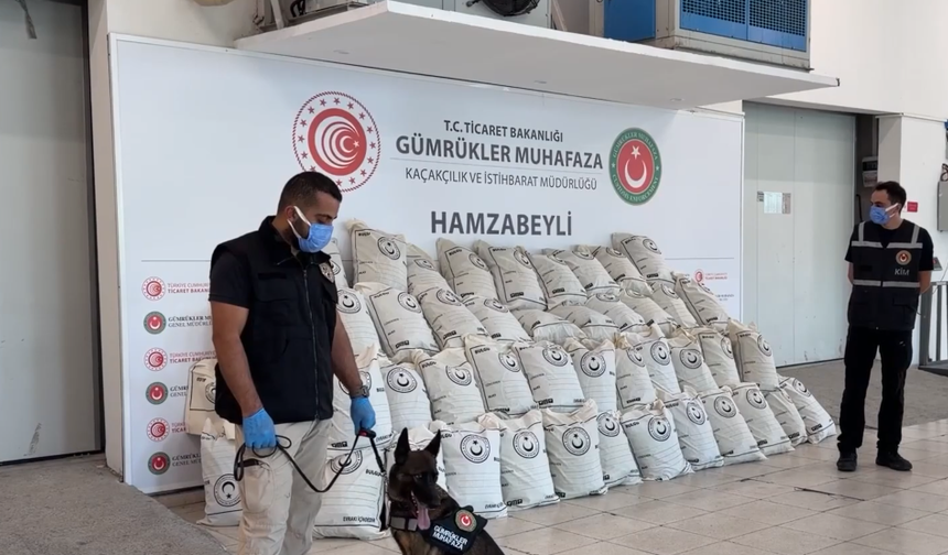Hamzabeyli Sınır Kapısı’nda Dev Uyuşturucu Operasyonu: Tırda 287 Kilo Esrar Yakalandı!