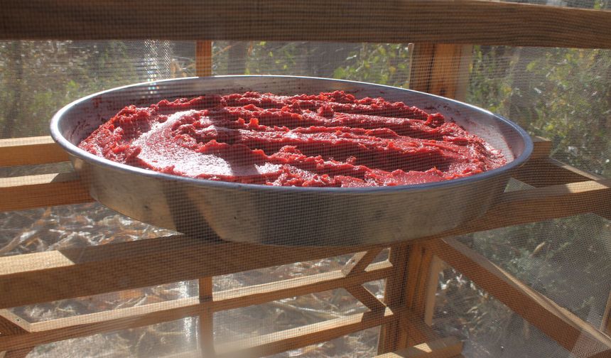 Kahramanmaraş’ta Salça Sezonu Açıldı