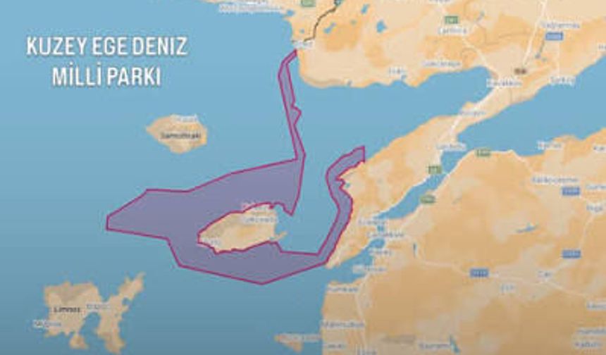 Türkiye’nin İlk Deniz Milli Parkları İlan Edildi: 2 Milyon 344 Bin Hektarlık Deniz Alanı Koruma Altına Alındı