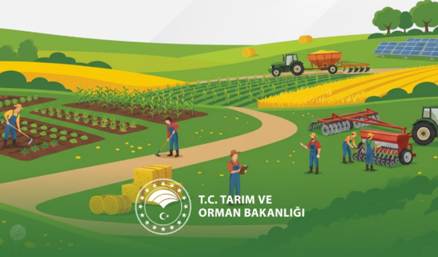 Tarım Bakanlığı Açıkladı: Dekar Başına Destek Miktarı Yükseldi
