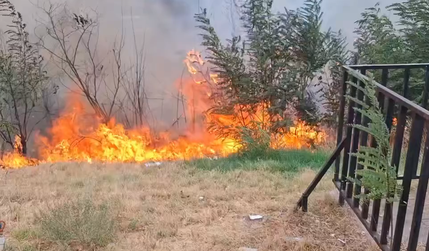 Tekerek Mahallesi’nde Ormanlık Alanda Çıkan Yangına Ekipler Müdahale Etti