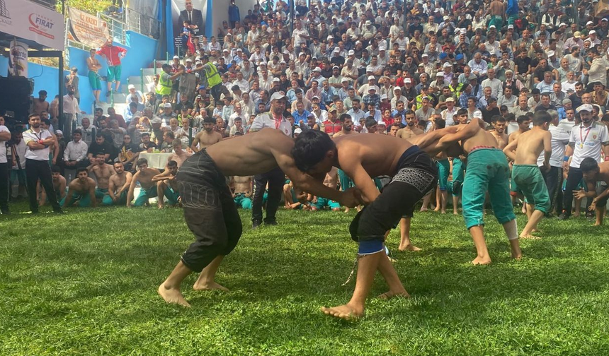 Bertiz Boyalı Güreş Festivali 30. kez düzenlendi