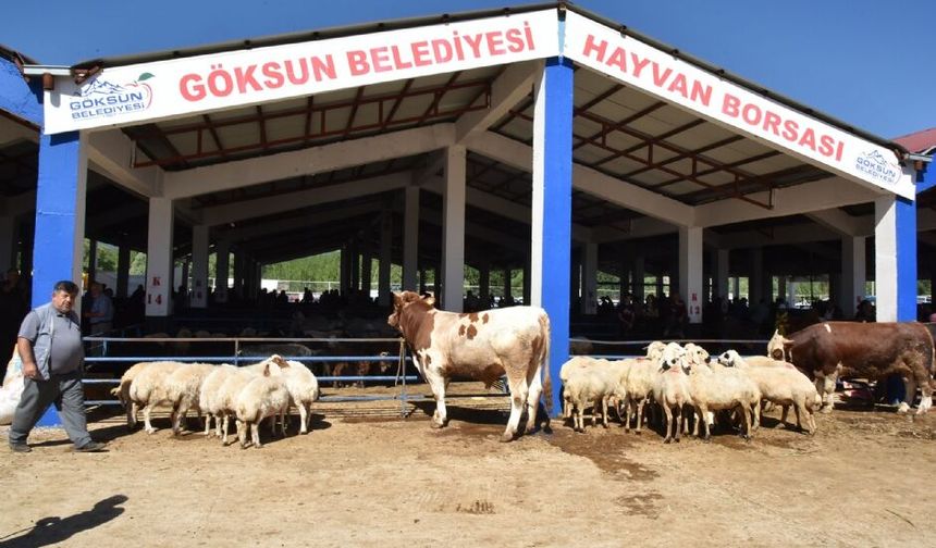 Göksun’da Şap Hastalığı Nedeniyle Hayvan Borsası Kapatıldı