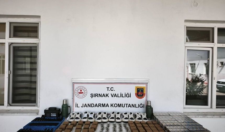 Şırnak'ta kaçakçılık ve asayiş operasyonlarında 1 şüpheli tutuklandı
