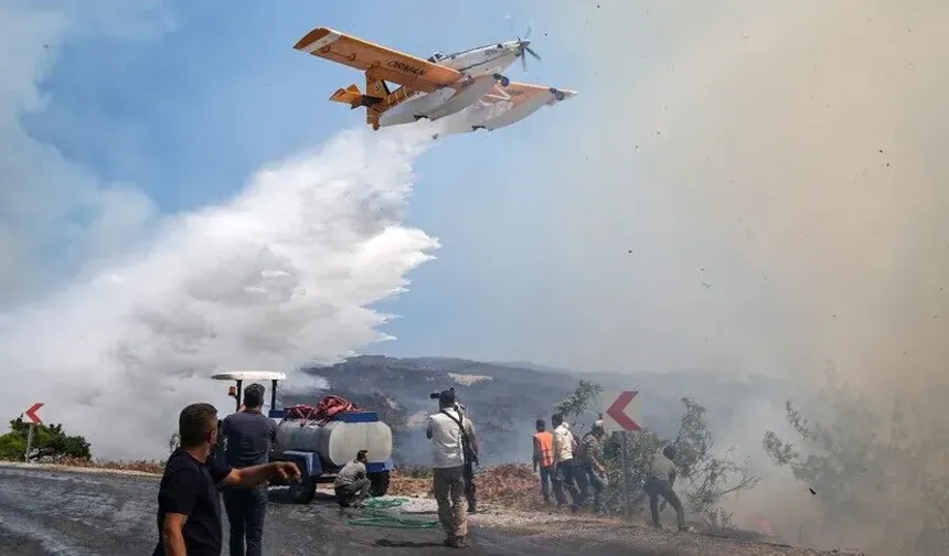 Orman yangınlarına ilişkin soruşturmalarda tespit edilen 70 şüpheliden 16'sı tutuklandı