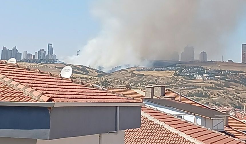 Dereli'de Çıkan Yangın Kontrol Altına Alındı