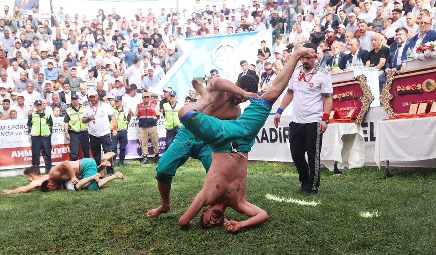 Bertiz Boyalı Güreş Festivali 30. Kez Düzenlendi! Ata Sporu Yaşatılıyor