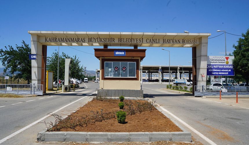 Kahramanmaraş Canlı Hayvan Borsası Geçici Süreyle Kapatıldı!