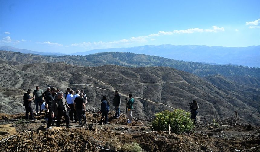 Kahramanmaraş’ta Çakırdere ve Çamlıbel’de Yanan Ormanlar İçin 1 Milyon Fidan Hedefi
