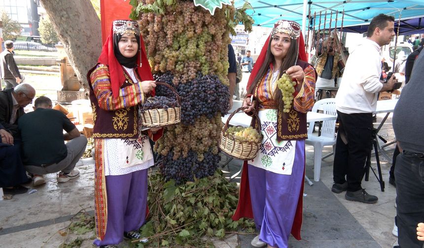 Bertiz Masere Günleri’ne yoğun ilgi